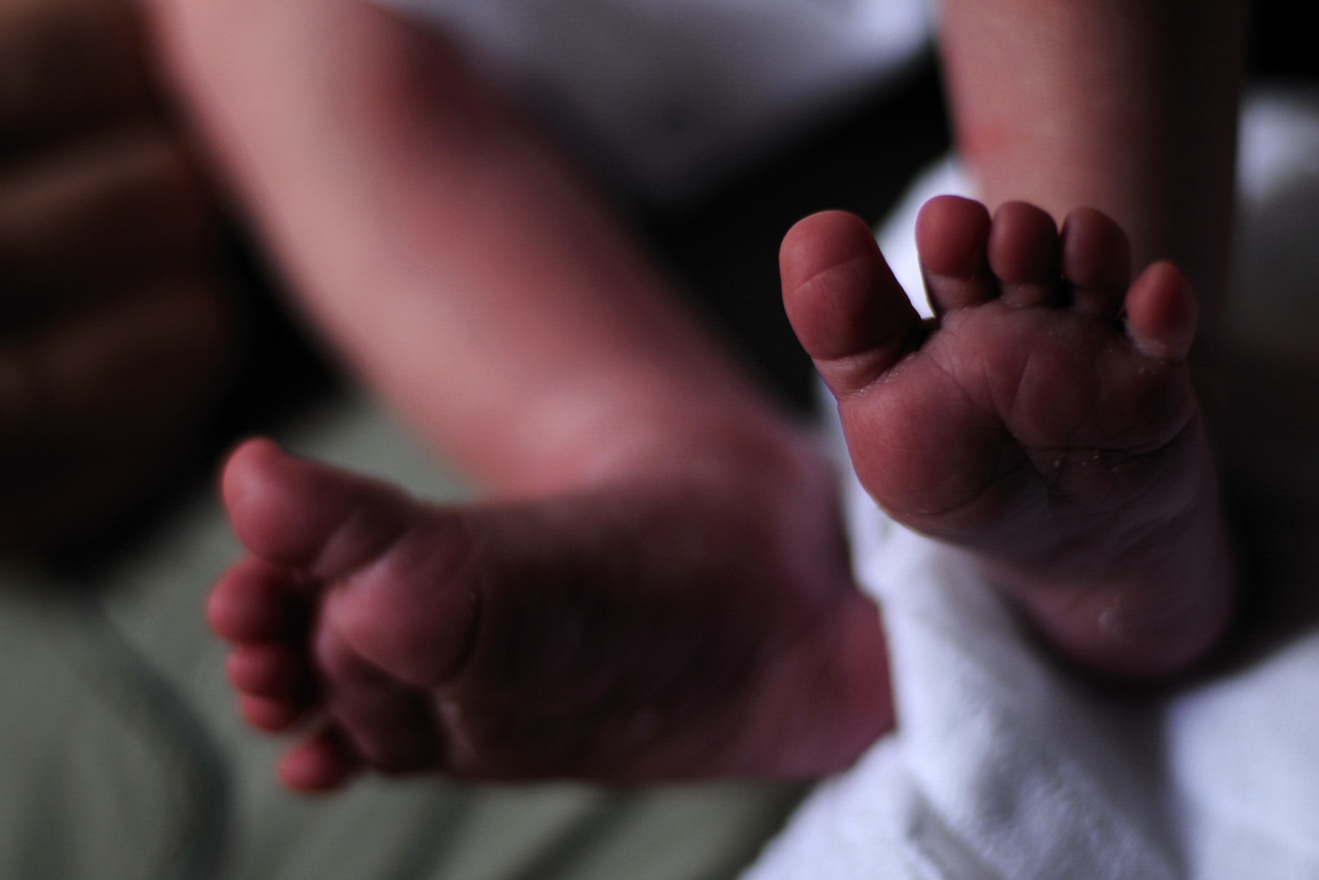 feet